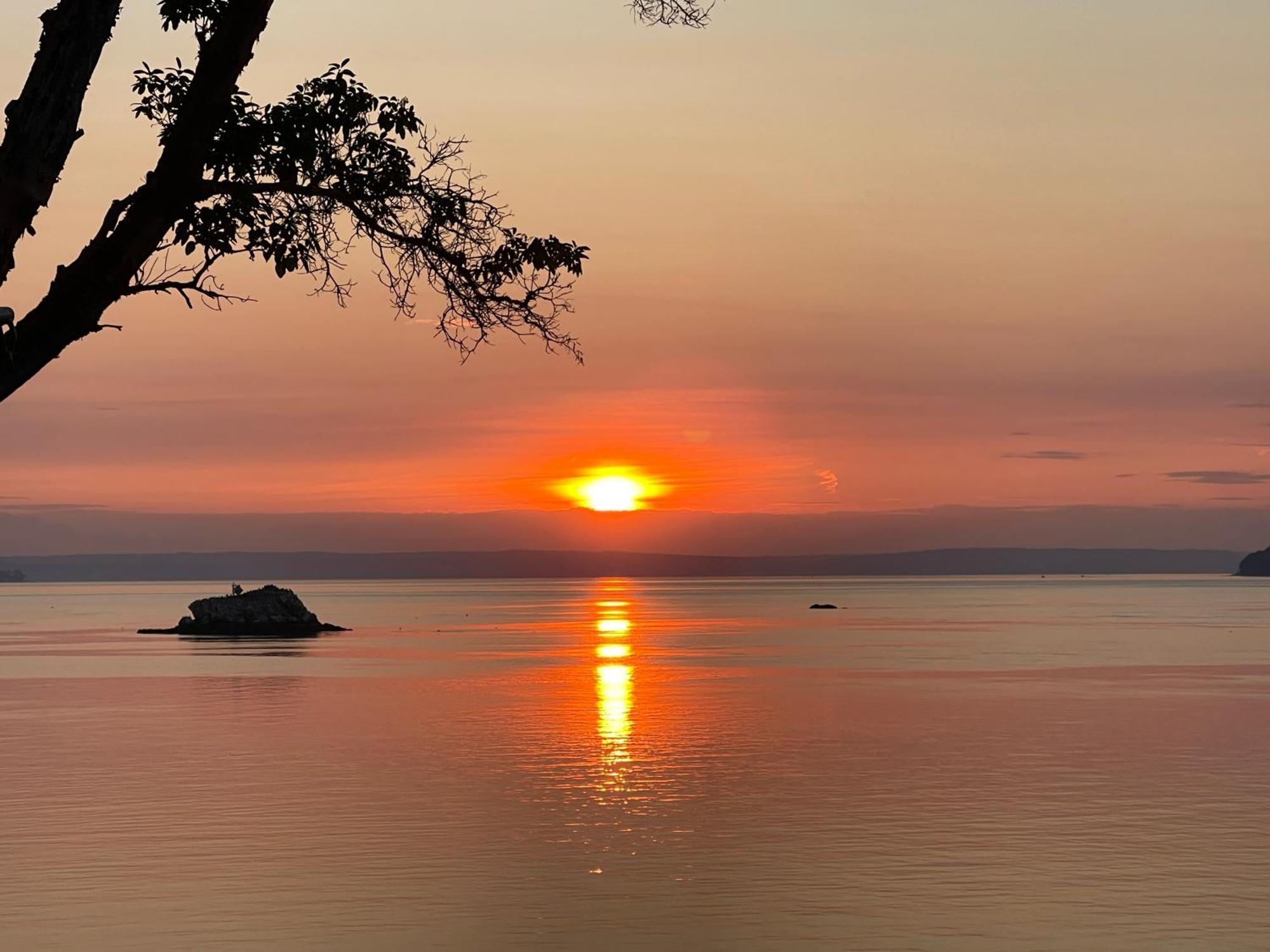 Puget Sound Chic Romantic Cottage With Private Beach Access & Gated Entry Port Ludlow Zewnętrze zdjęcie