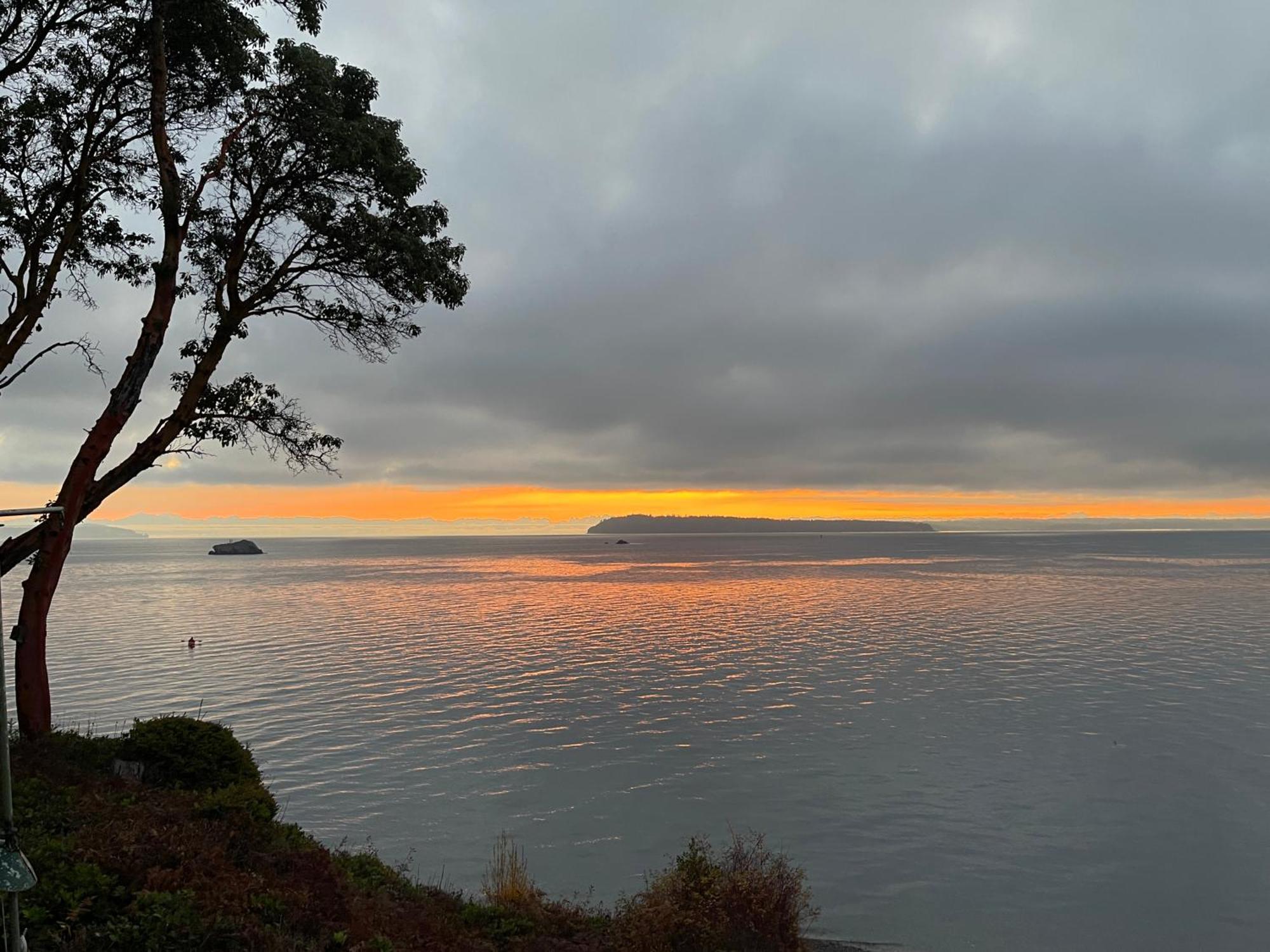 Puget Sound Chic Romantic Cottage With Private Beach Access & Gated Entry Port Ludlow Zewnętrze zdjęcie